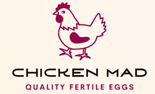 Chicken Mad