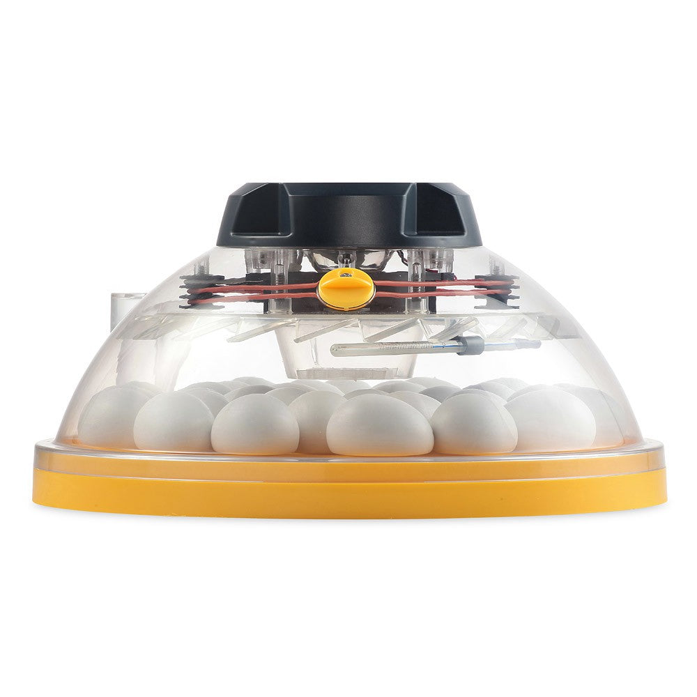Brinsea Maxi 2 ECO incubator 30 egg