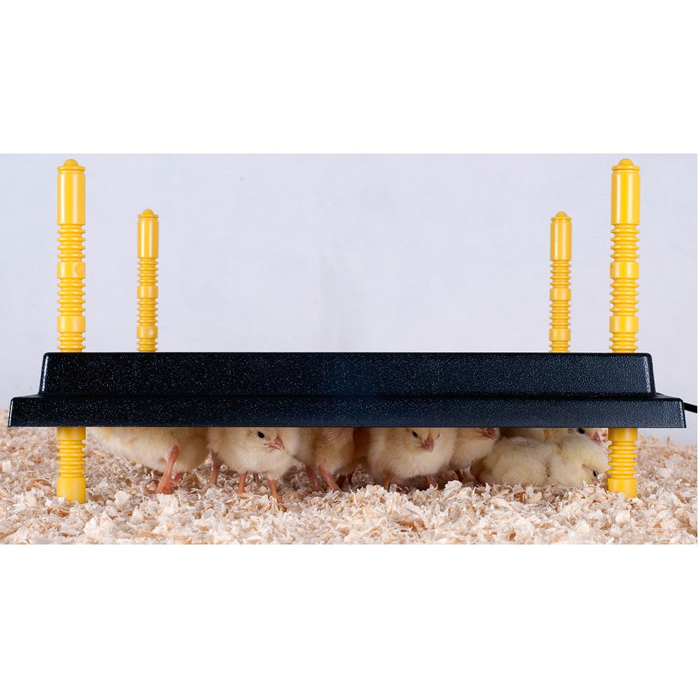 Heat Plate for chicks 40x40cm (Avail for shipping 1st week of September)