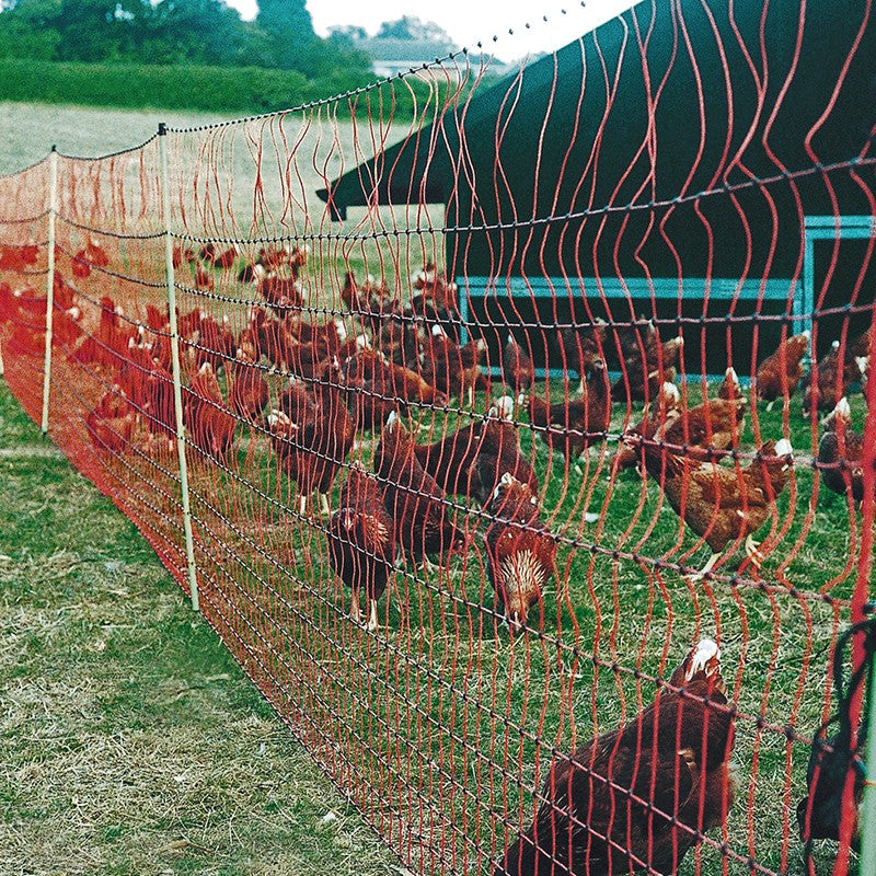 50m Super Electric Poultry Fence/Net