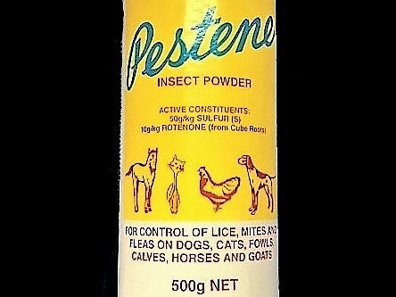 Pestene Insect Powder 500g