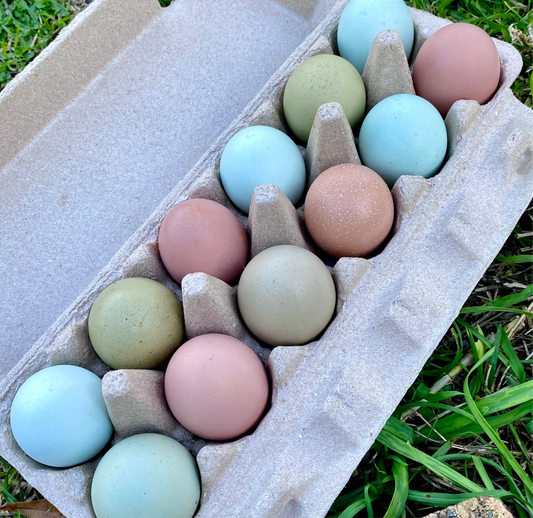 NEW! Pretty in Pastel - Rainbow Dozen