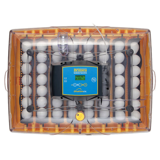 Brinsea Ovation 56 EX fully automatic digital egg incubator