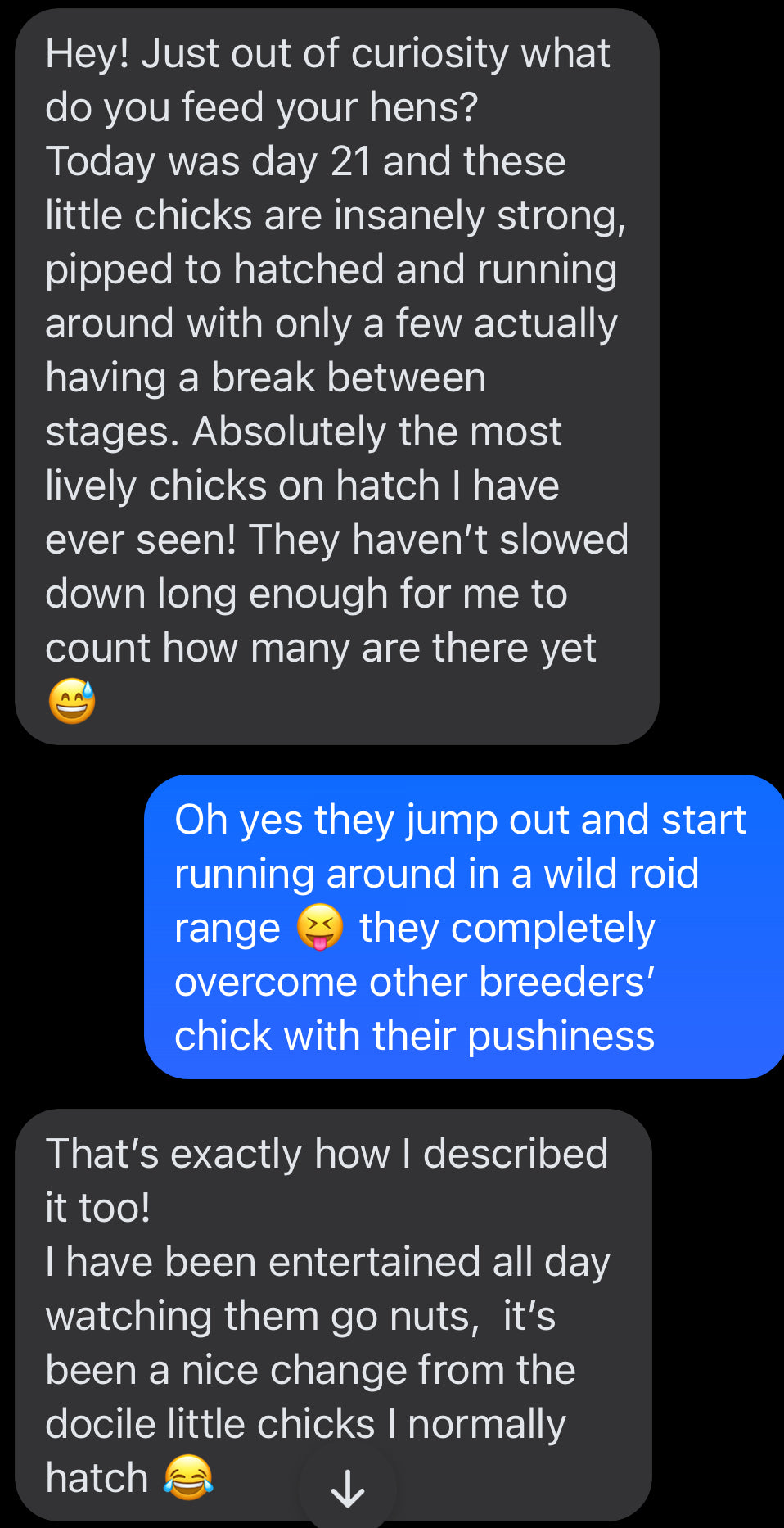 Chicken MADGIC - Breeding Aid and Electrolyte Supplement 200g