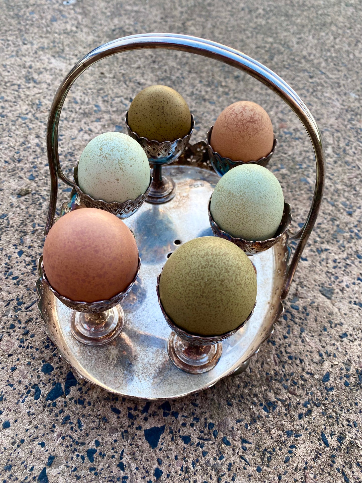 Speckletacular Rainbow - PRE SALE