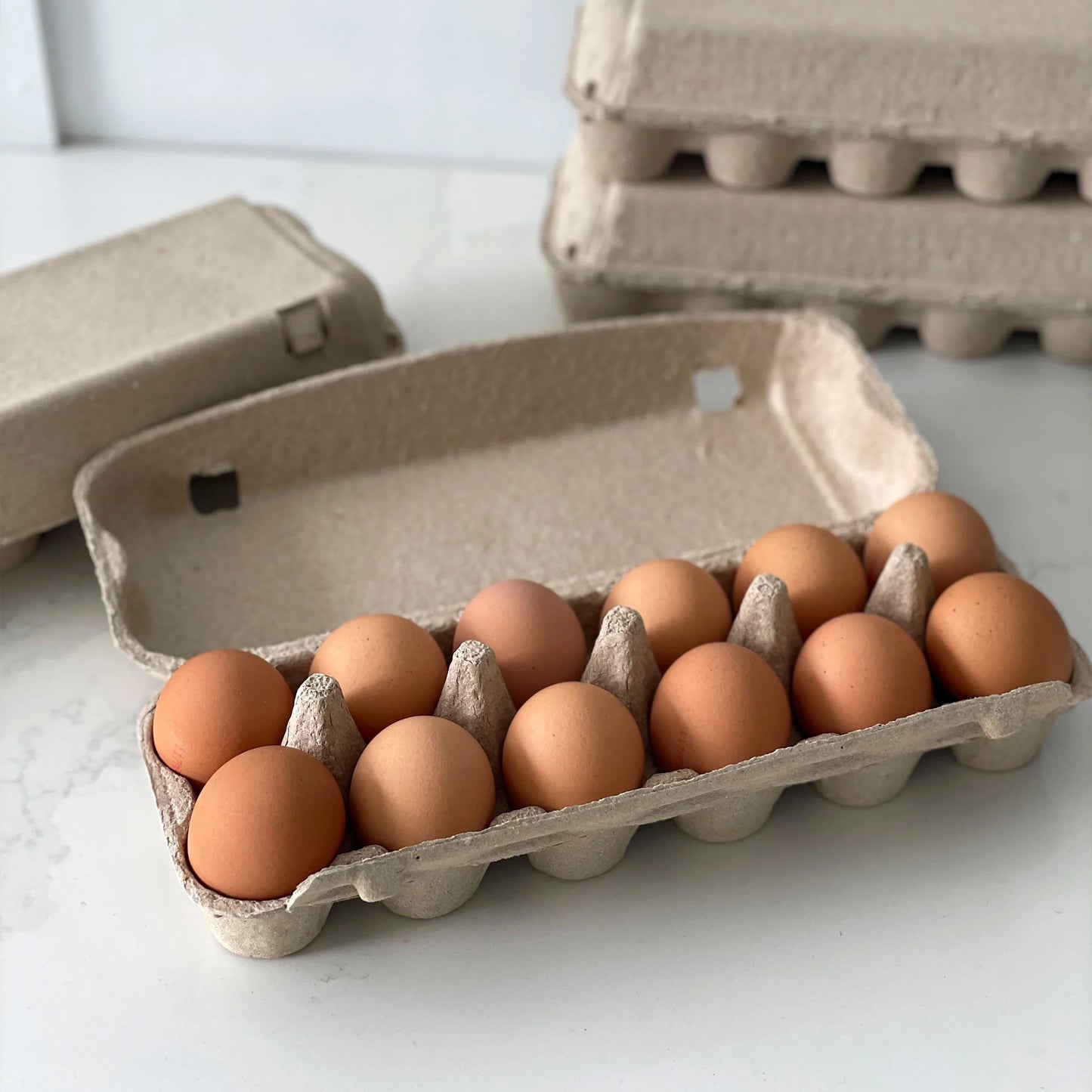 Egg Carton Dozen Pack of 10 (New)