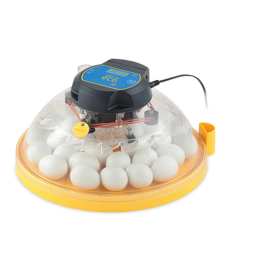 Brinsea Maxi 2 ECO incubator 30 egg